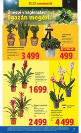 Lidl akciós újság Oldal 21