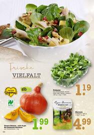 Scheck-in-Center Prospekt woche 52 Seite 22