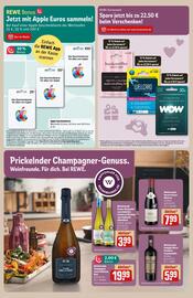 REWE Center Prospekt woche 52 Seite 21