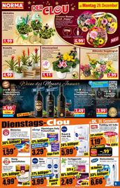 Norma Prospekt woche 1 Seite 8