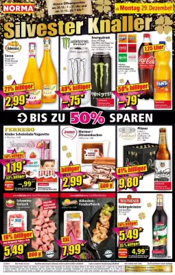 Norma Prospekt (gültig bis 4-01)