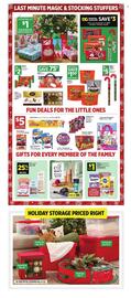 Dollar General weekly ad week 52 Page 3