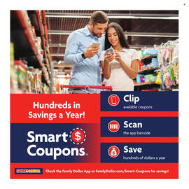 Family Dollar weekly ad week 52 Page 4