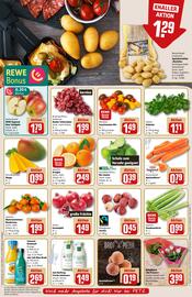 REWE PETZ Prospekt woche 52 Seite 10