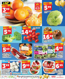 Topaz gazetka Strona 13