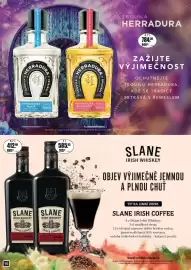 Adam leták Strana 16