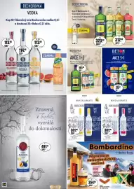 Adam leták Strana 24