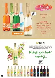 Adam leták Strana 28