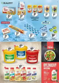 Adam leták Strana 55