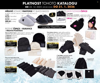 Dedra leták Strana 8