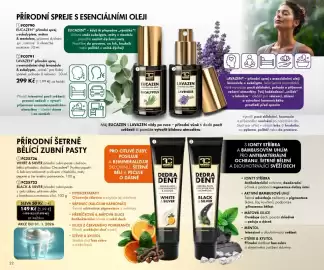 Dedra leták Strana 22