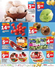 Topaz Express gazetka Strona 13