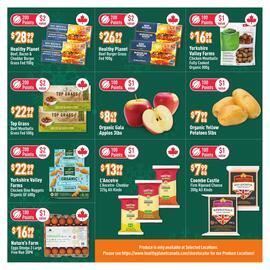 Healthy Planet flyer Page 2