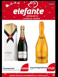 Volantino Elefante Cash & Carry Pagina 1