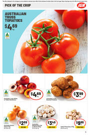 IGA catalogue week 52 Page 6