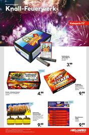 Hellweg Prospekt Seite 7