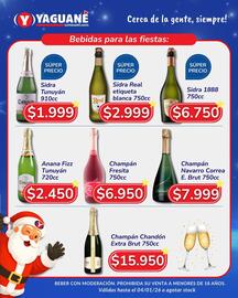 Catálogo Yaguane Supermercados Página 8