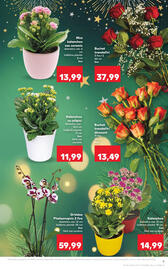 Catalog Kaufland săptămâna 52 Pagină 9