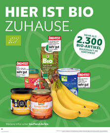 Kaufland Prospekt Seite 40