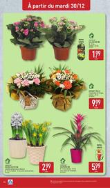 Catalogue ALDI semaine 1 page 37
