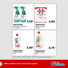 Volantino Iper Tosano settimana 52 Pagina 2