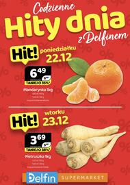 Delfin gazetka Strona 1