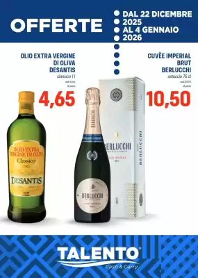 Volantino Talento Professional Store (valido fino al 4-01)