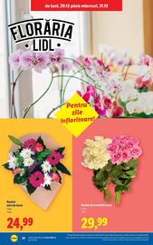 Catalog Lidl Pagină 24