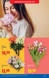 Catalog Lidl Pagină 25