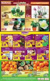 Catalogue Norma page 4