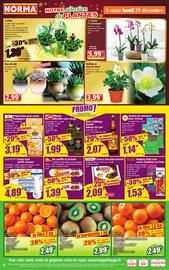 Catalogue Norma semaine 1 page 4