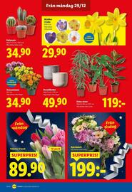 Lidl reklamblad vecka 1 Sida 19