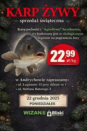 Wizan gazetka Strona 1