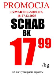 Wizan gazetka Strona 1