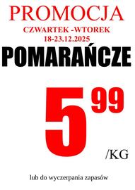 Wizan gazetka Strona 3