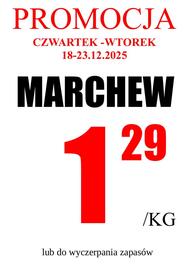 Wizan gazetka Strona 4