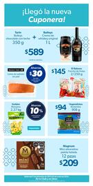 Catálogo Sam's Club Página 1