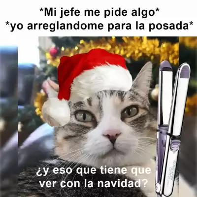 Catálogo Sally Beauty (válido hasta 24-12)