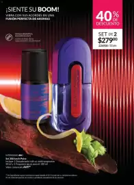 Catálogo Avon Página 39