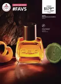 Catálogo Avon Página 55