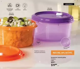 Catálogo Avon Página 19