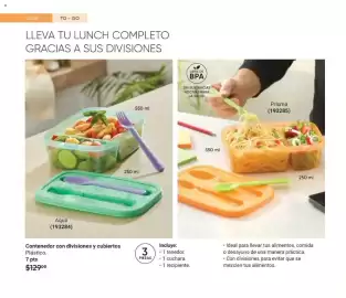 Catálogo Avon Página 42