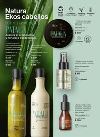 Catálogo Natura Página 163