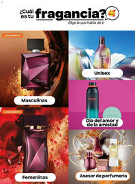 Catálogo Natura Página 45