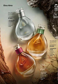 Catálogo Natura Página 60