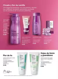 Catálogo Natura Página 138