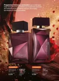 Catálogo Natura Página 49