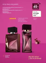 Catálogo Natura Página 51