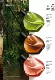 Catálogo Natura Página 61