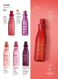 Catálogo Natura Página 67